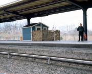 Ahorn und Buche treffen sich Unter den Linden / TranspOrtale