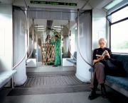 Ahorn und Buche treffen sich Unter den Linden / TranspOrtale